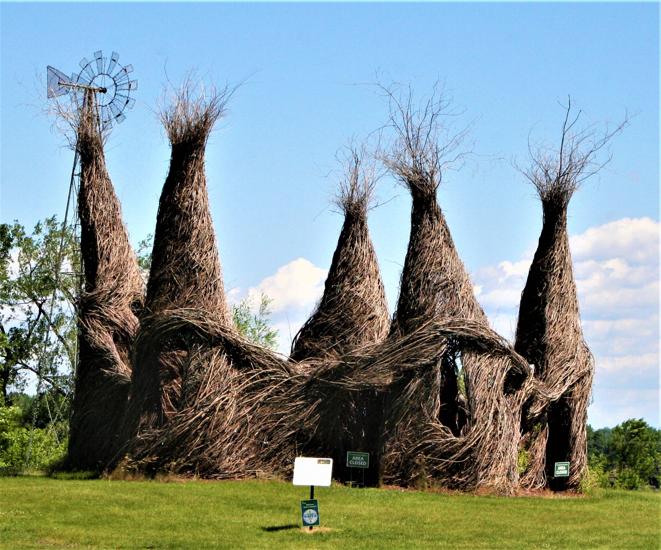 “YouBetcha” stick sculpture at the Minnesota Landscape Arboretum