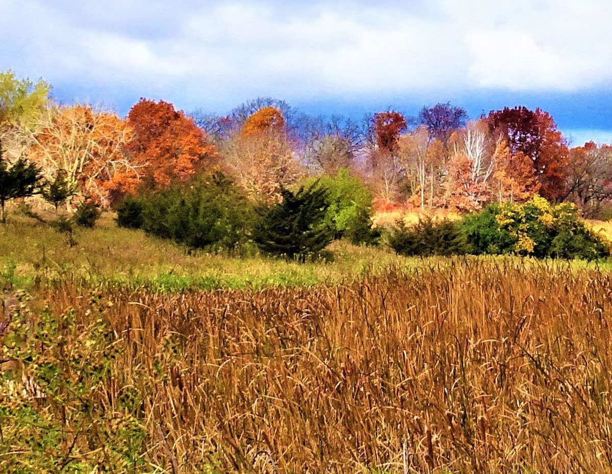 Carver County Fall Colors