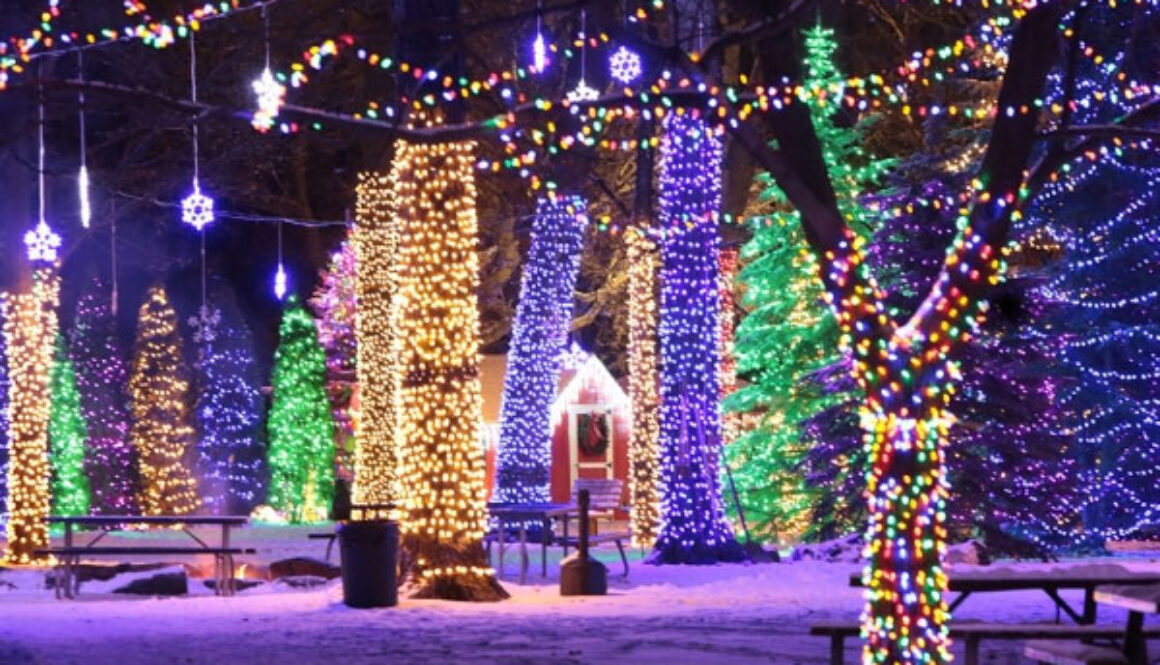 Spirit of Winter: Festival of Lights