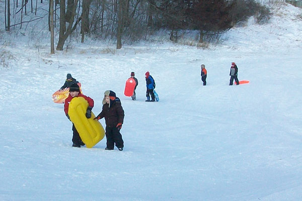 Polar Party sledding